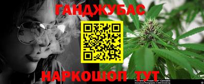 шишки Гагарин
