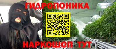 гашик Гай