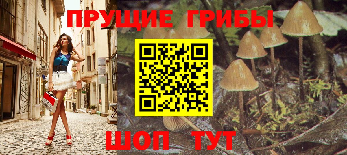 Галлюциногенные грибы MAGIC MUSHROOMS  Вход с VPN  Петропавловск-Камчатский 