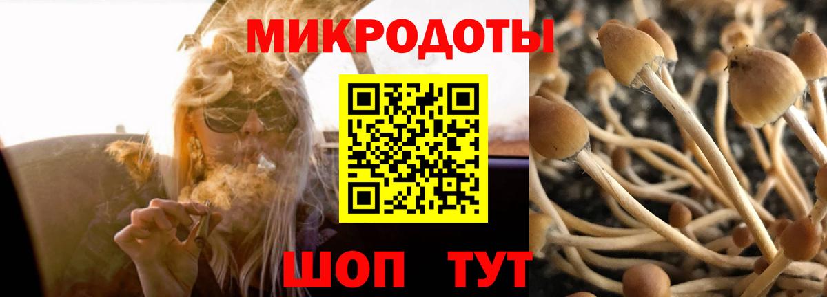 Псилоцибиновые грибы Cubensis Петропавловск-Камчатский